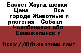 Бассет Хаунд щенки › Цена ­ 20 000 - Все города Животные и растения » Собаки   . Челябинская обл.,Еманжелинск г.